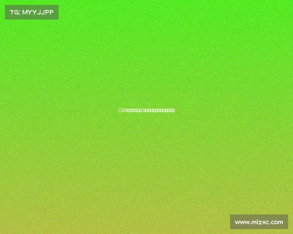 CBA赛季精彩回顾 聚焦明星球员表现与球队动态